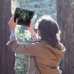  Microsoft Surface Pro 4 - Tablet CPU Core i5 8GB RAM 256GB Storage