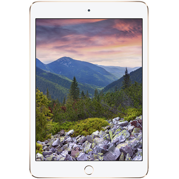 Apple iPad mini 3 Wi-Fi - 128GB