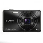 Sony Cybershot DSC-WX220 Digital Camera